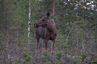 DSCN5582.JPG