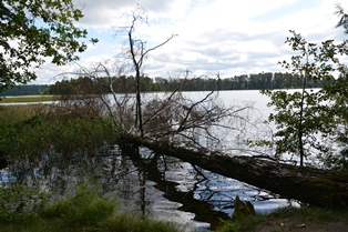 DSC_0362.JPG