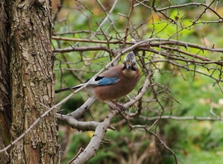 DSC07421.JPG