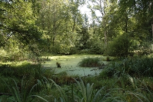 DSC_0059.JPG